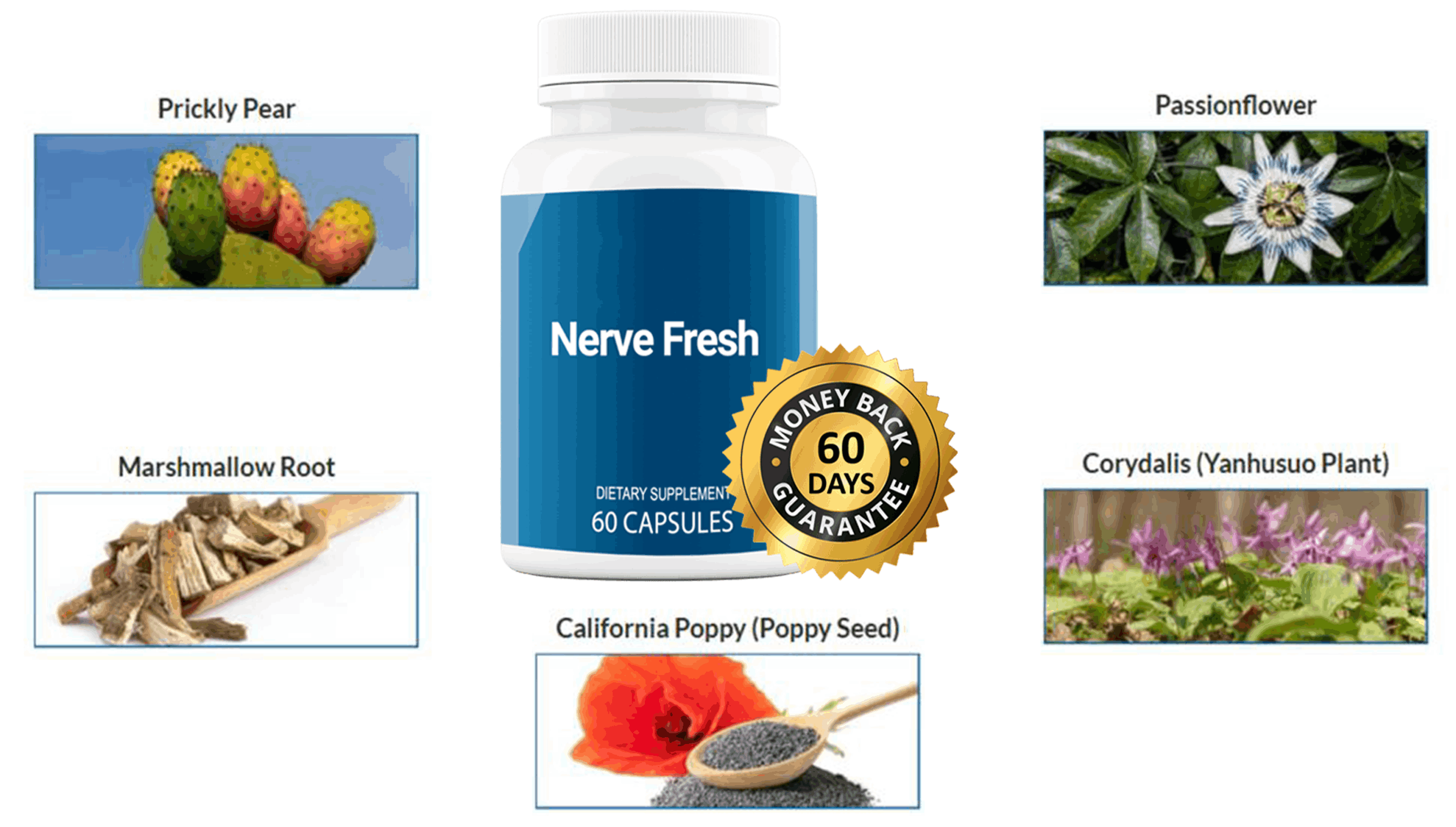 nervefresh Ingredients